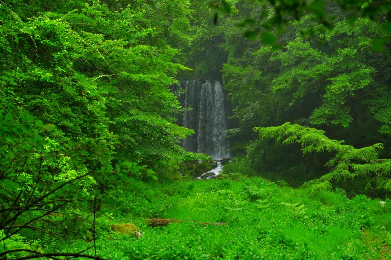 [ 唐沢の滝 ]  