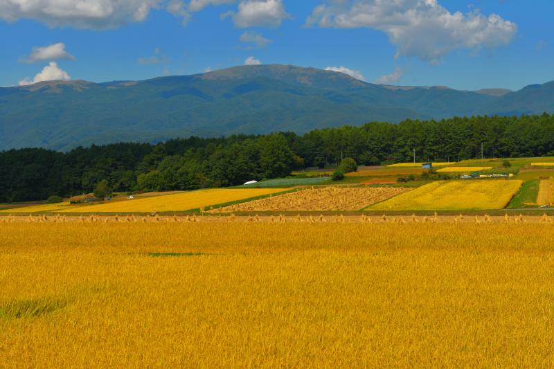 [ 八ヶ岳 ]  