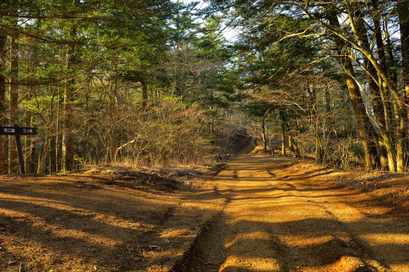 [ 三ツ峠山 ]  