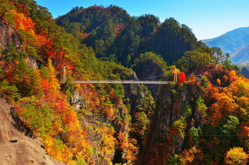 [ 瀬戸合峡全景 ]  奥日光のさらに北側に位置する瀬戸合峡はとても険しい峡谷。川俣湖（ダム）と峡谷の美しさを両方味わうことができる紅葉の名所。