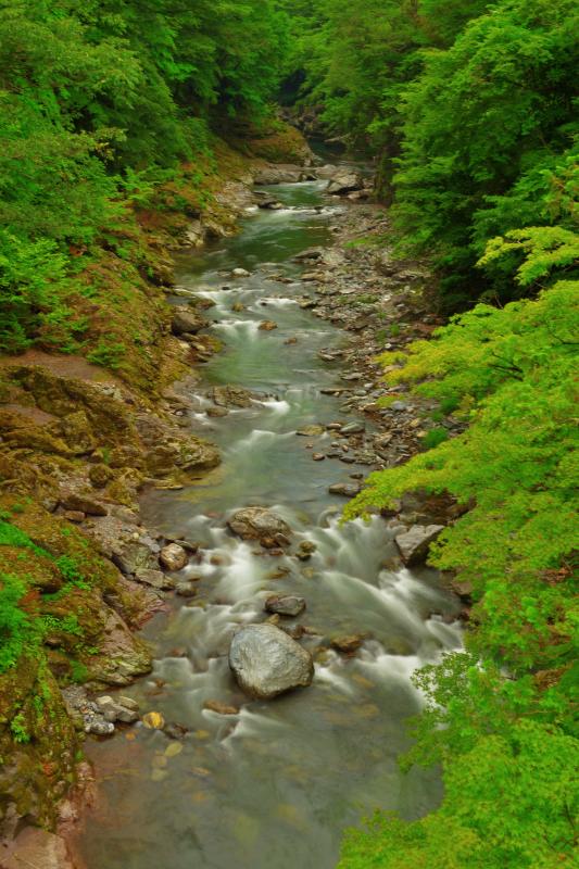 [ 三峰登竜峡 ]  