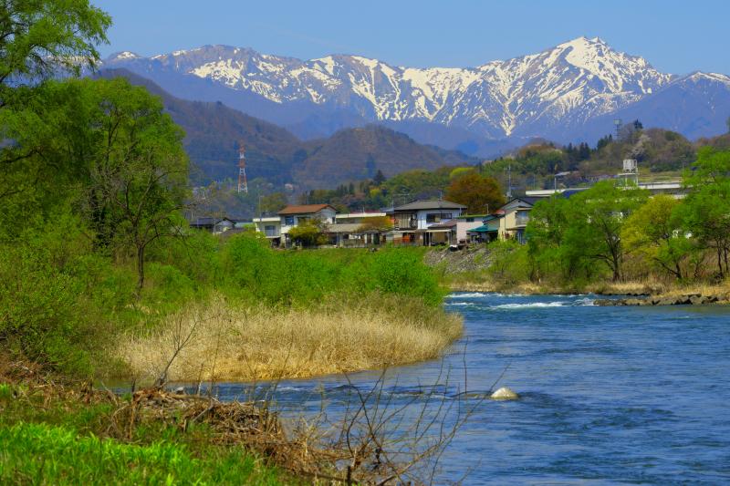 [ 谷川岳新緑 ]  残雪の谷川岳とブルーに澄んだ利根川の流れ。桜の季節が終わる頃、眩しいばかりの新緑が広がっていました。