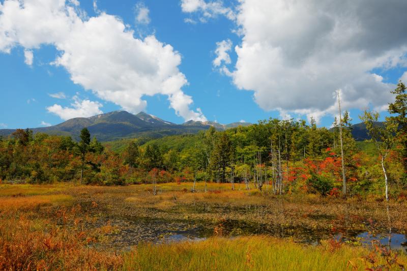 どじょう池全景 | 開けた空間に池と立ち枯れ、そして背後には日本百名山・乗鞍岳の眺望が広がります。紅葉と青空に浮かぶ大きな雲が印象的でした。