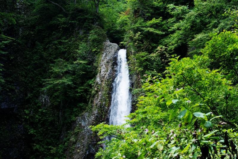 [ 緑深き第二の滝 ]  滝横の階段から撮影