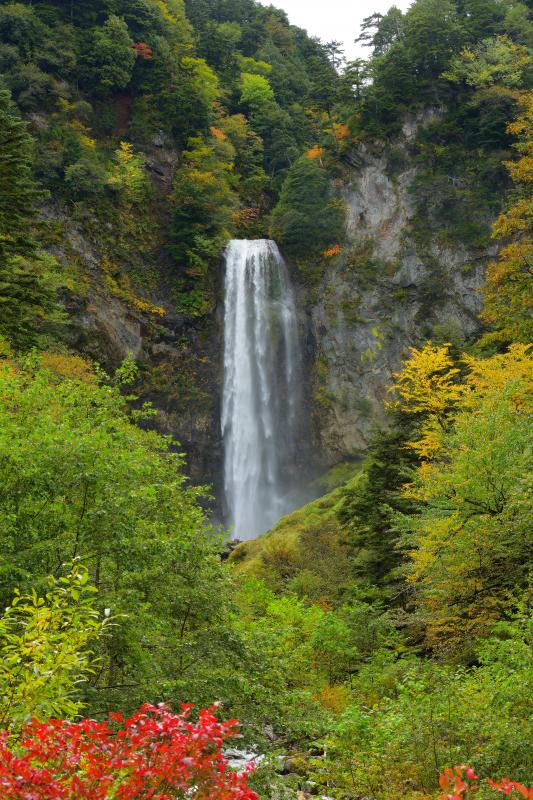 [ 平湯大滝 ]  