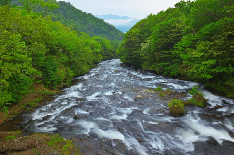 [ 大渓流 ]  大きな岩盤の上を中禅寺湖に向かって流れ行く水は滝というより大きな渓流。