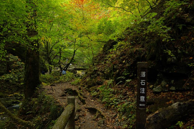 [ 遊歩道（山道） ]  