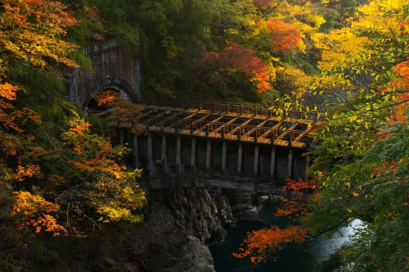 [ 古びた水道橋 ]  猿橋の奥に見えるレンガ造りのトンネルと水道橋。廃墟感漂う写真に。