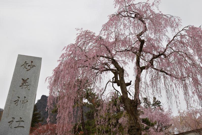 [ 妙義神社 ]  