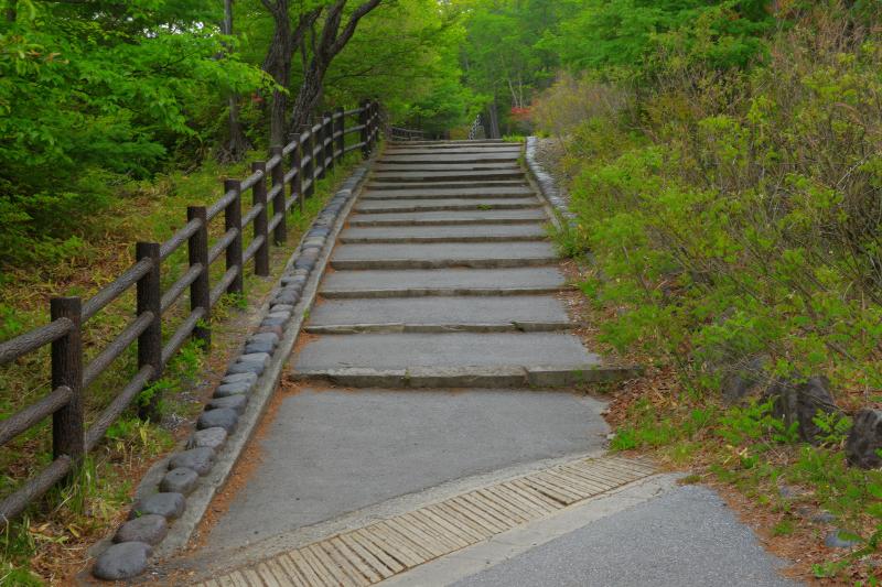 [ 竜頭の滝 ]  