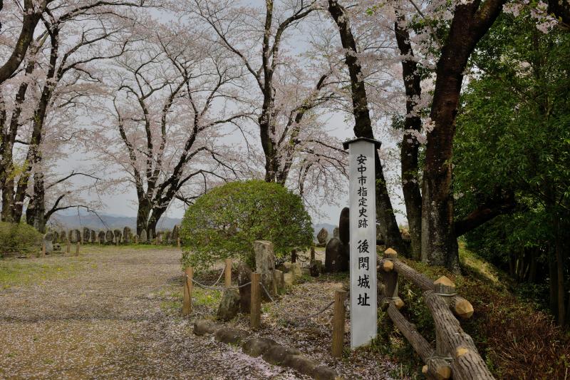 [ 後閑城址公園の桜 ]  