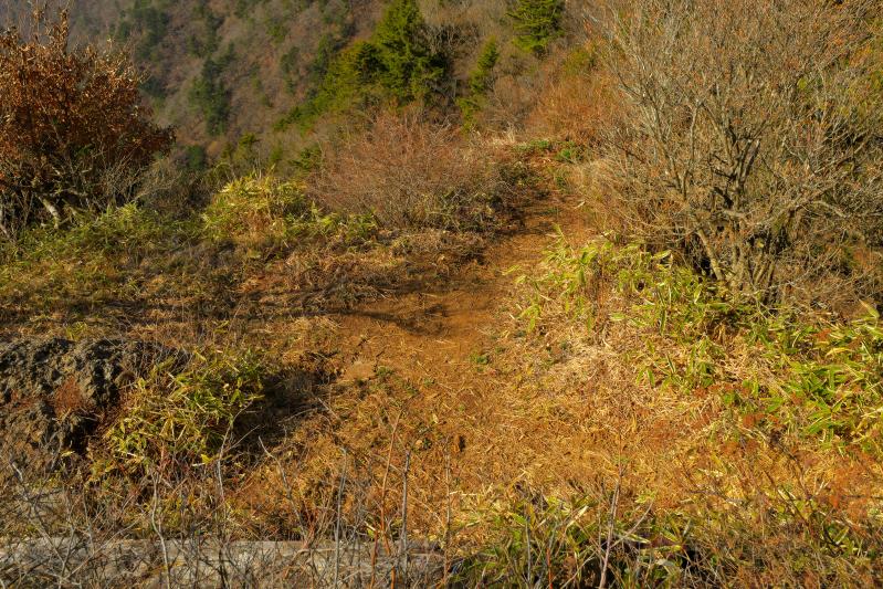 [ 三ツ峠山 ]  