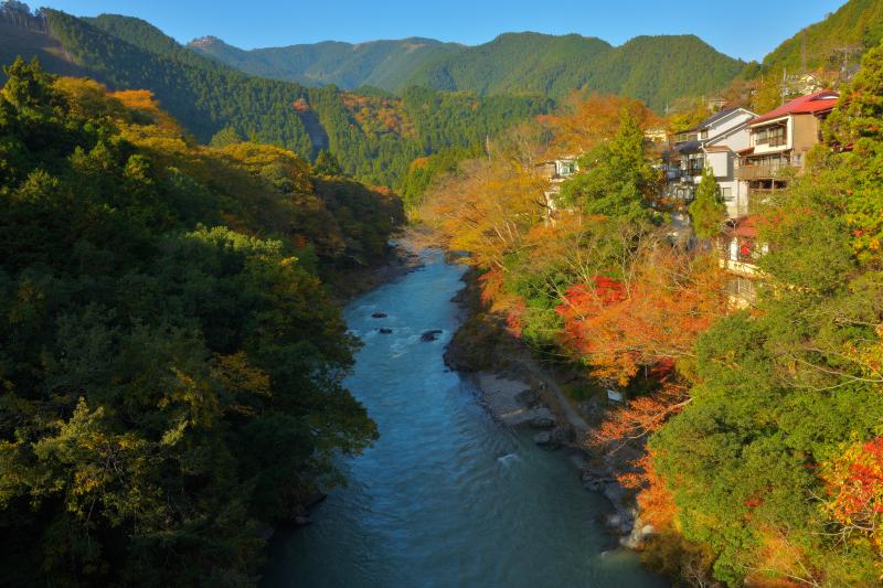 [ 御岳渓谷の秋 ]  川の両岸は色とりどりの紅葉で賑やかに。深い渓谷は昼前後の数時間しか全体に陽が当たりません。