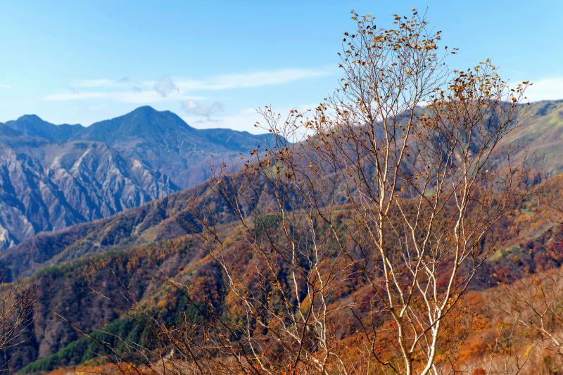 [ 秋景色 ]  紅葉の終わりかけた木々と、色づく山々