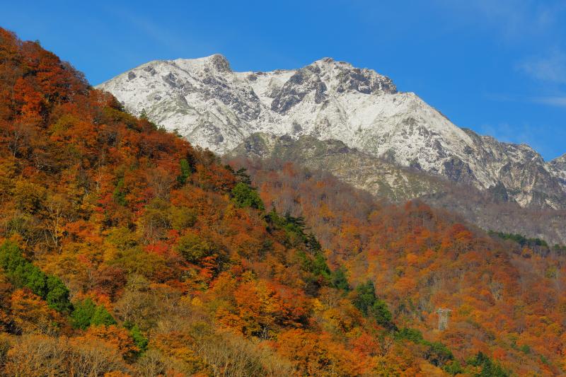 [ 谷川岳冠雪 ]  前日の冷え込みにより雪化粧した谷川岳。青空と雪のコントラストが美しい。