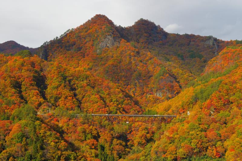 [ 八ッ場ダム紅葉 ]  吾妻川周辺の山々は燃えるように紅葉していました。八ッ場ダムは紅葉を楽しめるスポットです。