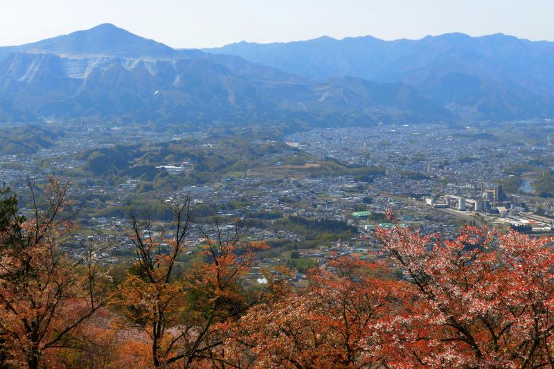 [ 秩父の街並みと武甲山 ]  ヤマザクラの奥に秩父の街並みと秩父のシンボル「武甲山」が見えます。