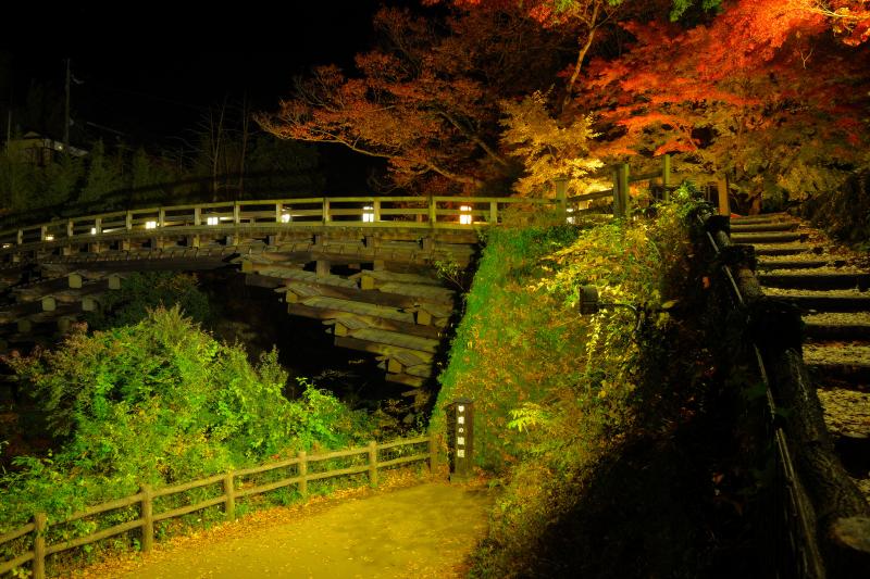 [ 猿橋ライトアップ ]  ライトアップされた猿橋。歴史ある建造物と紅葉。