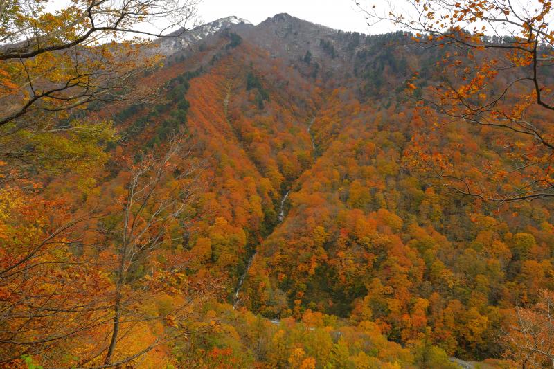 [ 紅葉滝 ]  一ノ倉沢へ向かう遊歩道の途中、錦秋の山に美しい一筋の流れが。通る人は皆立ち止まり、カメラを向けていました。