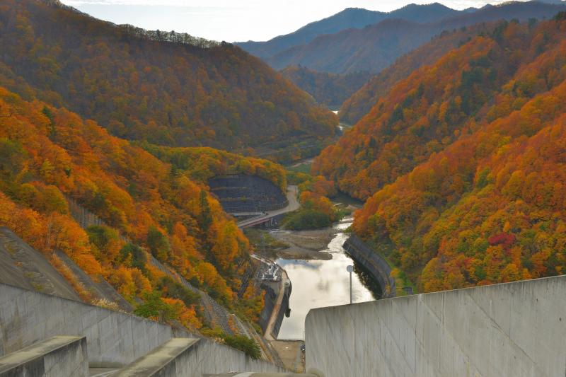 [ 堤から下流を望む ]  ダム下流の斜面にはオレンジと赤の紅葉が広がっていました。ダム堤の横に駐車場があり、歩いてすぐにこの絶景を味わうことができます。