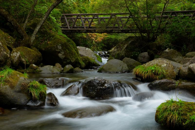 [ 渓流風景 ]  遊歩道の橋付近は瀬になっており、渓流風景を楽しむことができます。