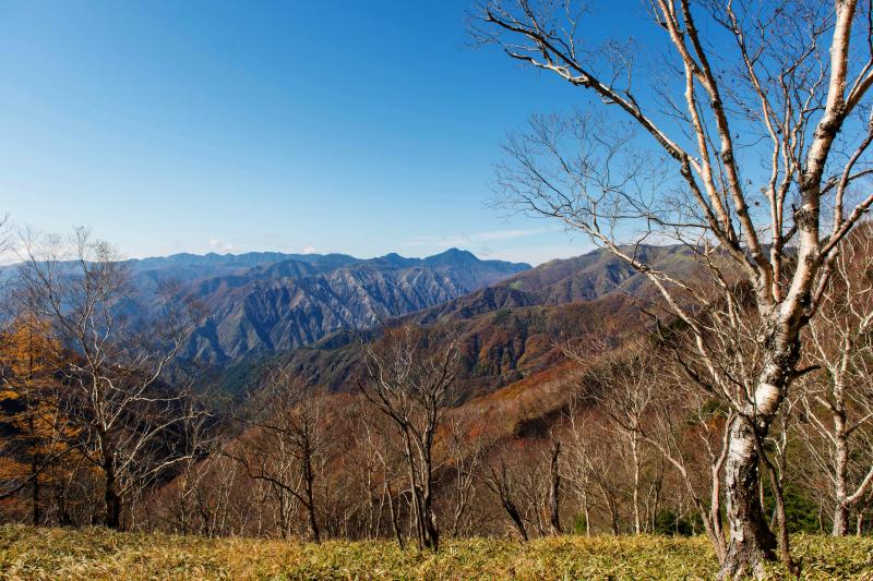 [ 青空と足尾の山々 ]  駐車場から紅葉と山のパノラマが広がっています。