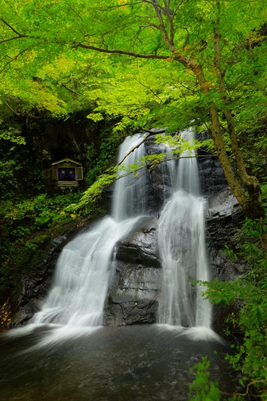 [ 宇津江四十八滝 ]  