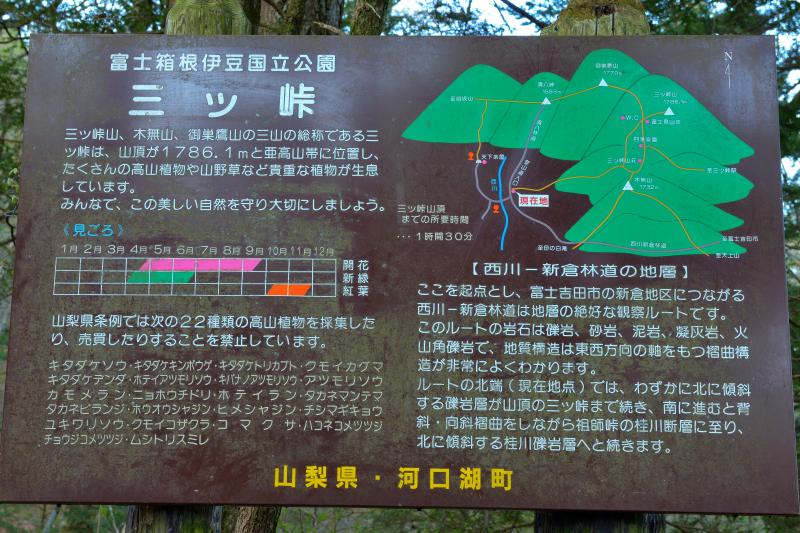 [ 三ツ峠山 ]  