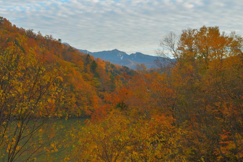 [ 紅葉風景 ]  胴元湖の湖畔を走る道路より撮影。矢木沢ダムに向かう専用道路で、平日の夕暮れ近くには数台しか通っておらず、貸切の紅葉風景を楽しむことができました。