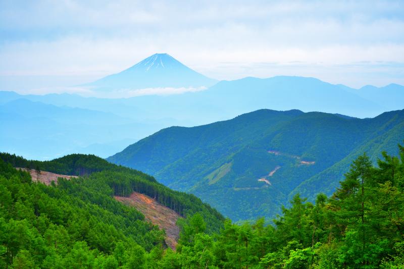 櫛形山からの富士山| 