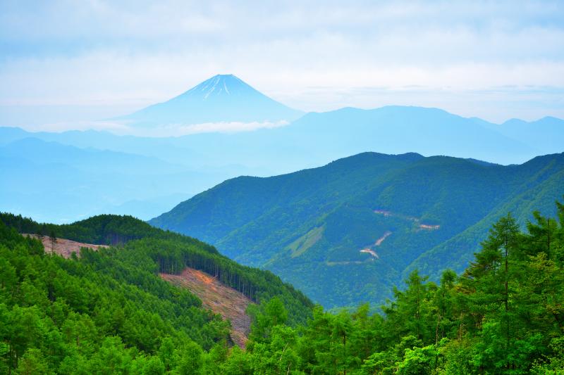 櫛形山からの富士山 | 