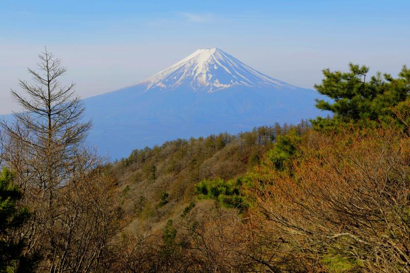 春待ち峠| 三つ峠山荘前の撮影ポイントから撮影。河口湖畔は桜が終わりましたが、三つ峠の春はもう少し先です。