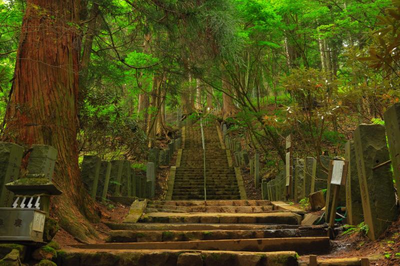 [ 男体山への階段 ]  二荒山神社中宮祠は男体山登山の入口にもなっています。境内奥からは先が見えないほどに階段が続いていました。