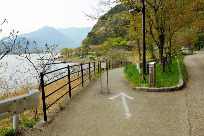 [ 長崎公園の桜 ]  