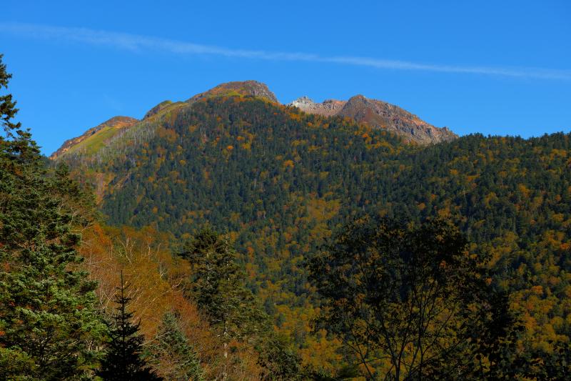 [ 焼岳 ]  安房峠からは焼岳への登山ルートがあり、道路の途中に登山客の車がたくさん駐車されていました。