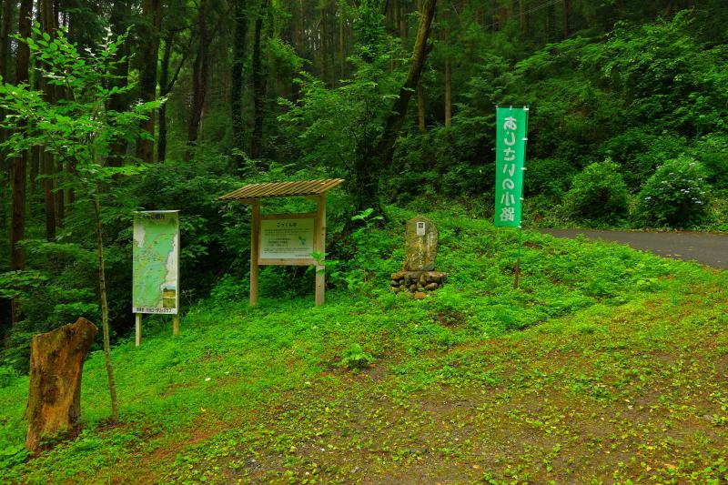 [ あじさいの小路 ]  