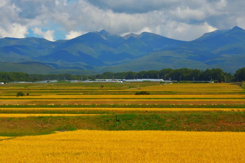 [ 八ヶ岳 ]  
