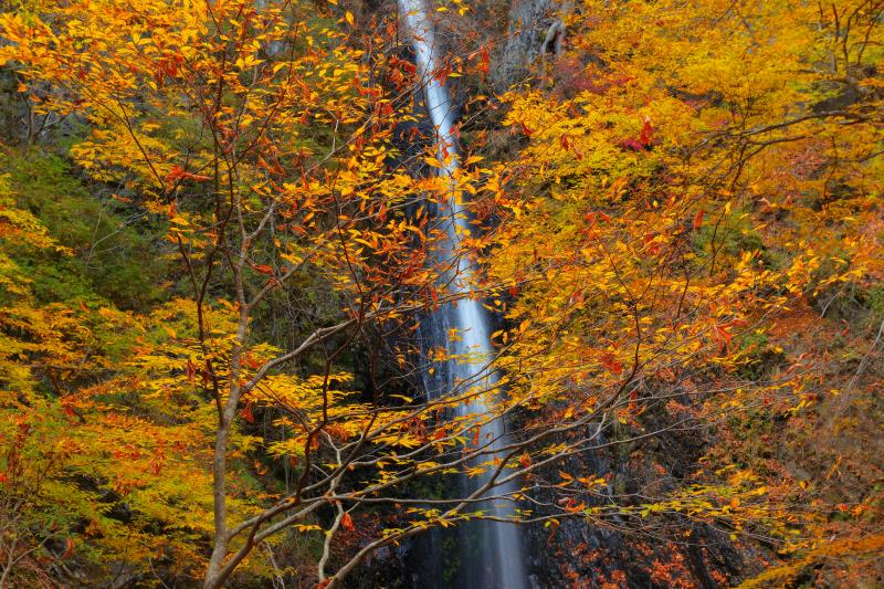 年 絶景 山梨県のおすすめ紅葉撮影スポット10選 ピクスポット 絶景 風景写真 撮影スポット 撮影ガイド カメラの使い方