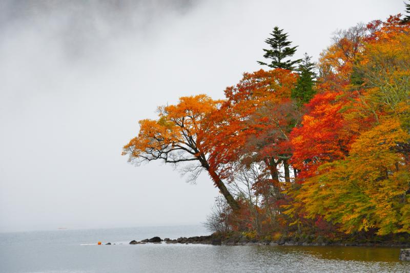 湖畔紅葉 | 立木観音前の駐車場から撮影。雨の中雲が湧き、男体山が雲に隠れました。幻想的な紅葉風景を楽しむことができました。