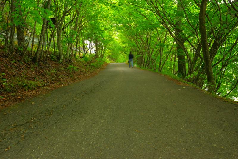 [ 英国大使館別荘 ]  