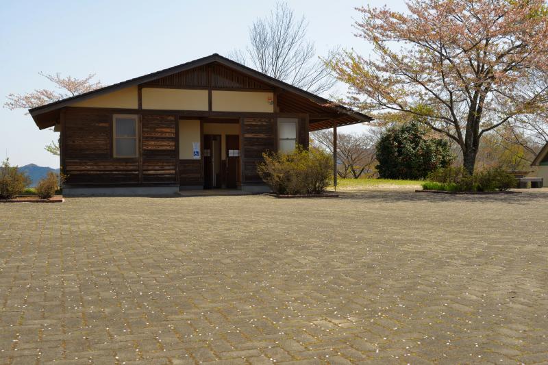 [ 美の山公園の山桜 ]  