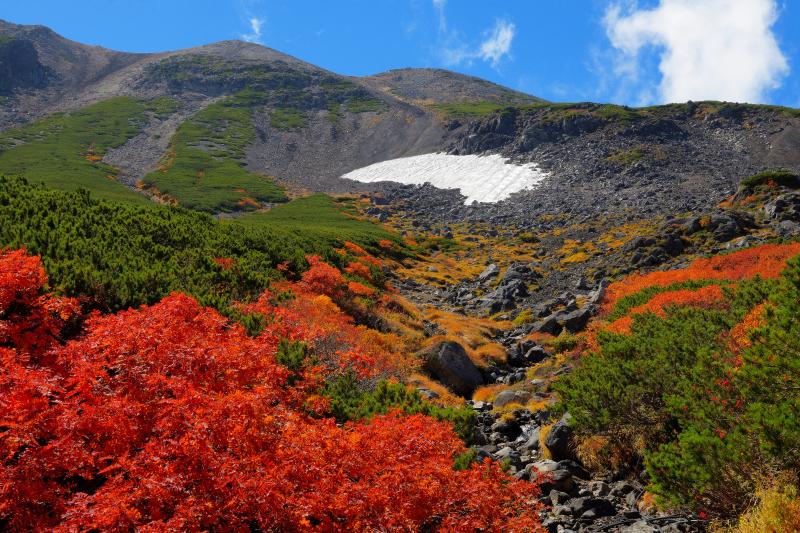 [ 雪渓と紅葉風景 ]  エコーラインの道路脇のナナカマドが真っ赤に色づいていました。青空と紅葉が美しい。