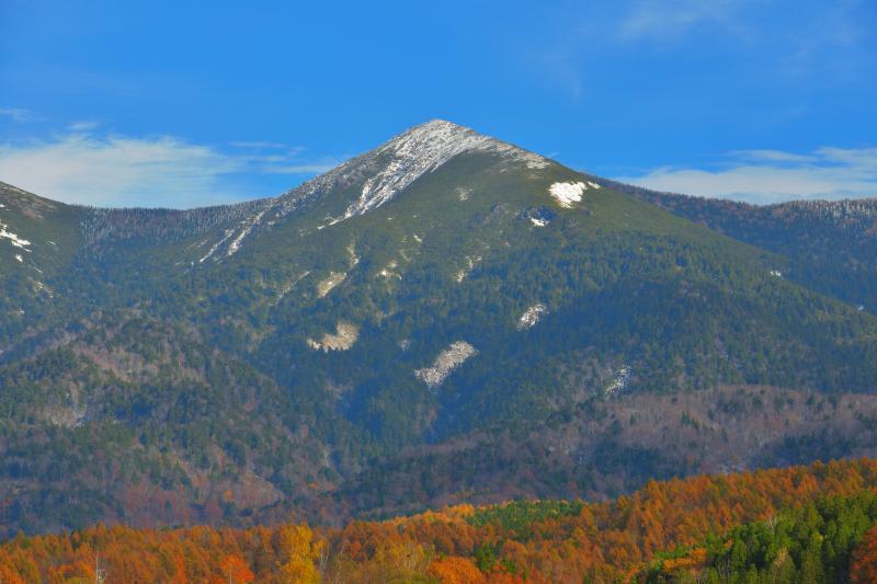 [ 冠雪と紅葉 ]  前日の冷え込みで山頂付近が冠雪し、青空・雪・紅葉のコントラストがとても綺麗でした。