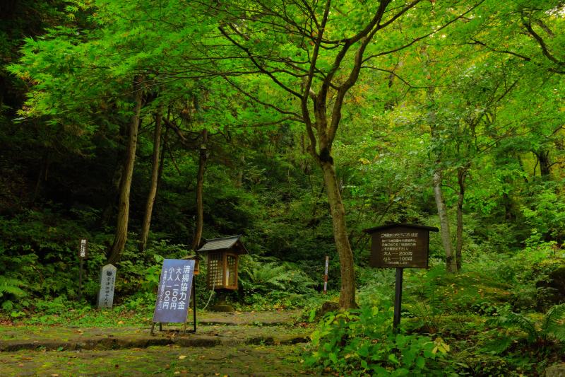 [ 宇津江四十八滝 ]  