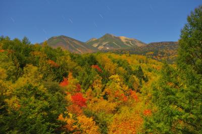 星降る紅葉乗鞍岳| 錦秋の乗鞍高原。橋からは月明かりに照らされたしっとりとした紅葉が広がり、空には星が輝いていました。