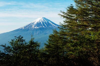 新道峠登山道を登り稜線に出た辺りで撮影。