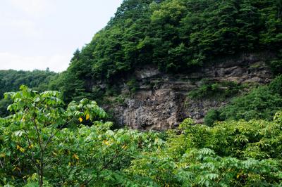 鷹の巣のような凹凸| 緑の中、川岸の岩壁が印象的です。