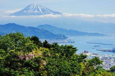 日本平の道路沿いから撮影。新緑とブルーのコントラストが美しい。