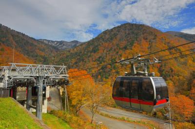 紅葉空中散歩| 紅葉真っ盛りの谷川岳周辺。山麓駅からゴンドラが勢いよく飛び出して行きます。