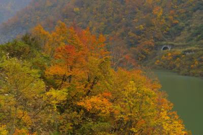 しっとり紅葉| ダム湖の周遊道路から撮影。それほど混んでおらず、静かに紅葉を楽しむことができました。